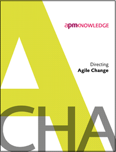 Directing Agile Change