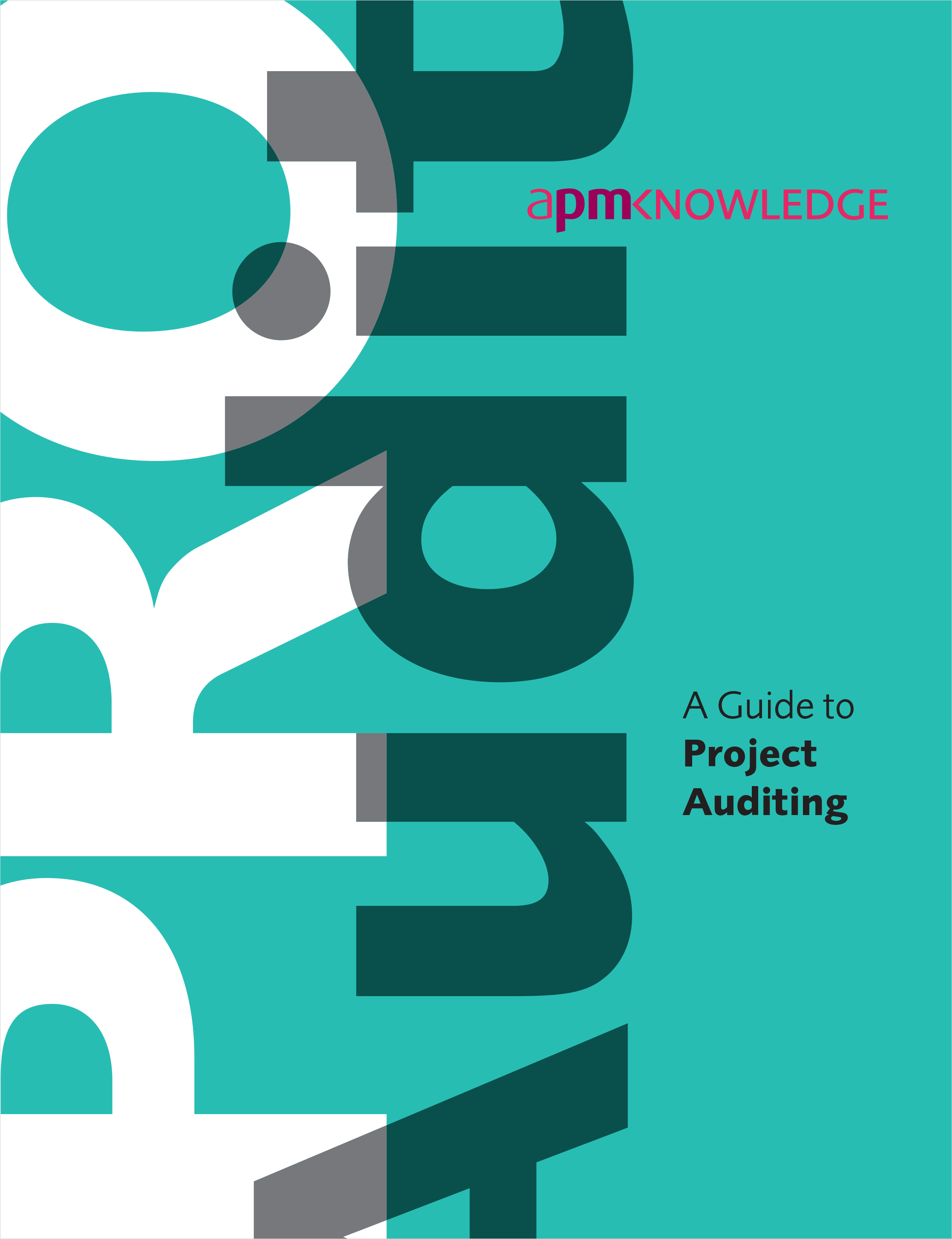 A Guide to Project Auditing 
