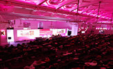 246 Auditorium.jpg