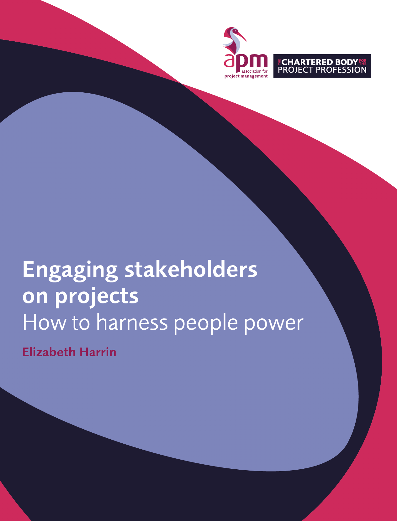 Engaging stakeholders on projects - How to harness people power 