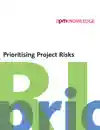 Prioritising Project Risks