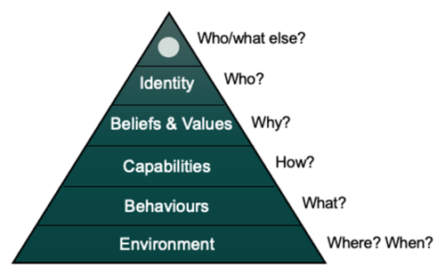 A view of the structure of a culture