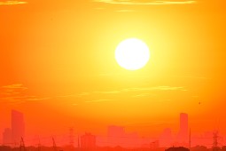 Sun Small
