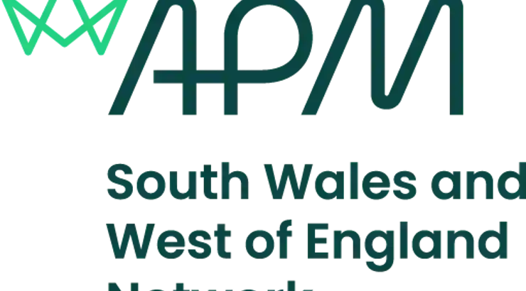 The Invisible Manager The expert view: Introducing APM’s own project management team