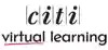 CITI Virtual Learning
