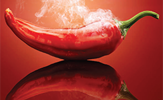Hot Topics 245X150