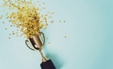 award 246.jpg