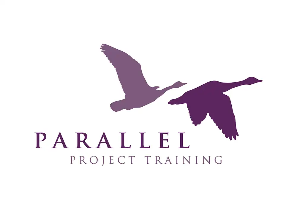 Parallel Project Training