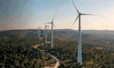 Are We Ready For Net Zero In Project Management Card