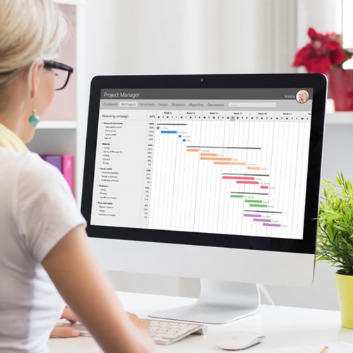 Gantt Chart: Definition and Examples - ProjectManager