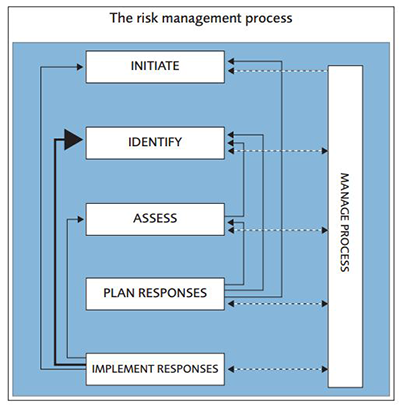 Main elements of risk management and the role of the risk manager