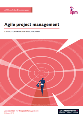 Agile summit report