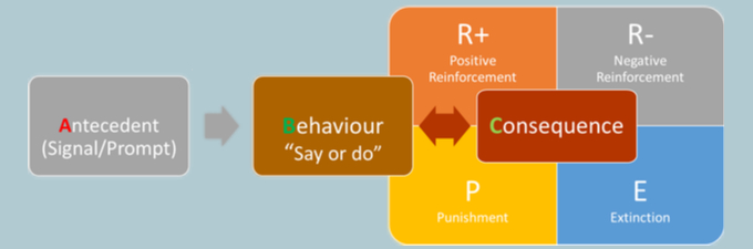 ABC behavioural science diagram - Peter Mill Costainv3.jpg
