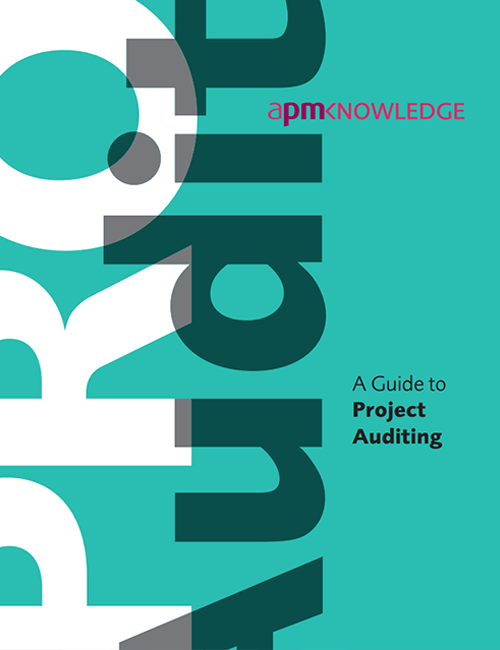 A Guide to Project Auditing