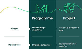 Programme Project Product Infographic Card
