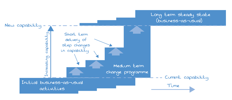 Change programme vs. steady-state activities