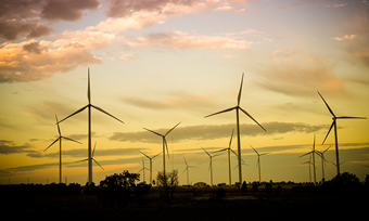 Wind Turbine Farm Full Width