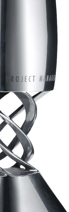 APM Awards trophy